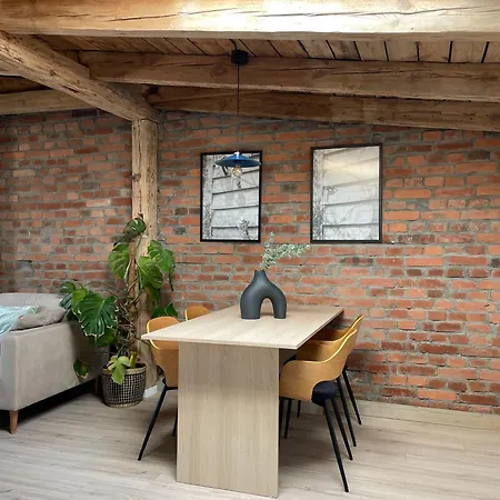 Loft 75mkw W Sercu Miasta 公寓