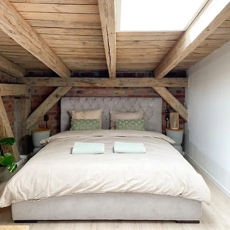 公寓 Loft 75mkw W Sercu Miasta *