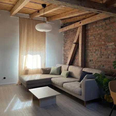 Loft 75mkw W Sercu Miasta 比得哥什